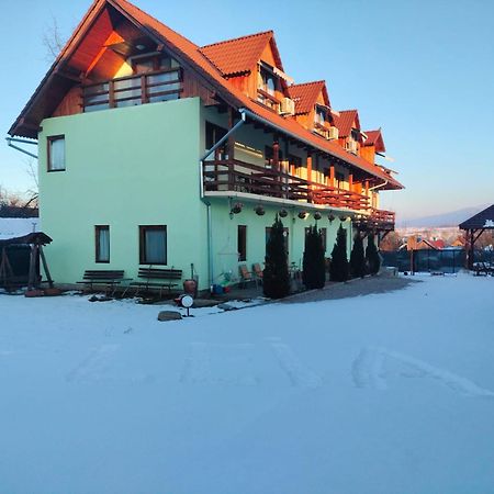 Pensiunea Leia Transfagarasan Cîrţişoara 외부 사진