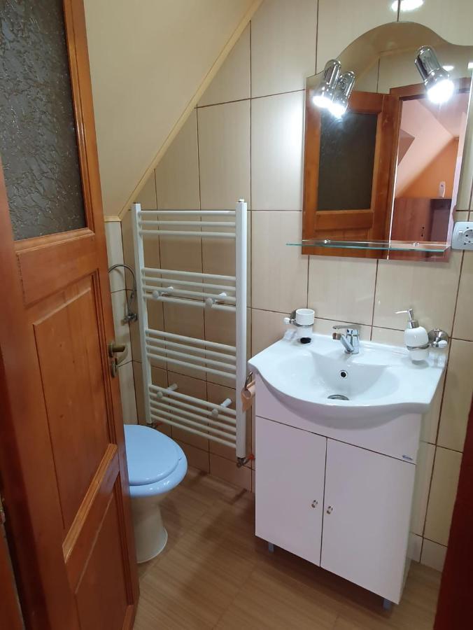 Pensiunea Leia Transfagarasan Cîrţişoara 외부 사진