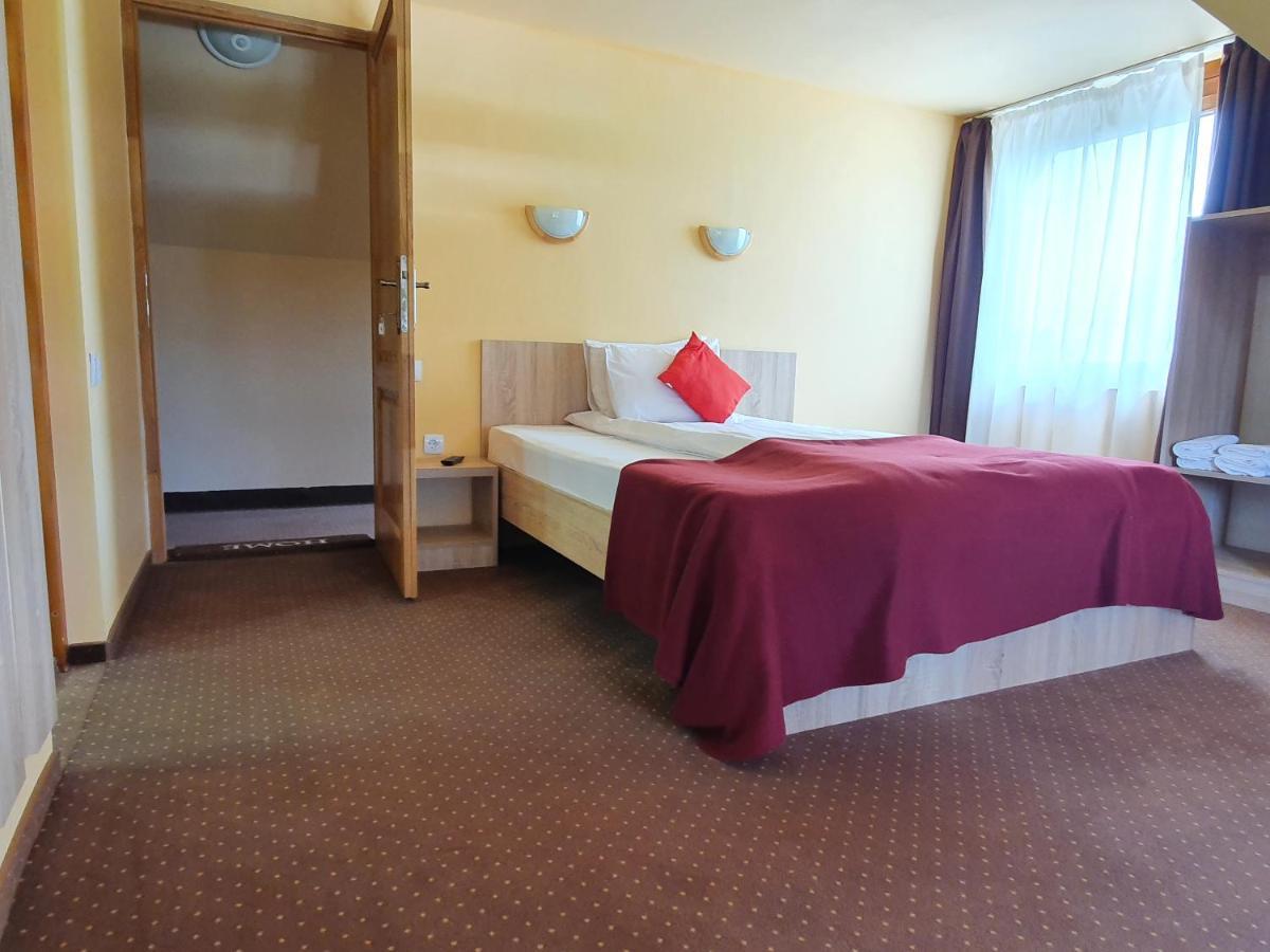 Pensiunea Leia Transfagarasan Cîrţişoara 외부 사진