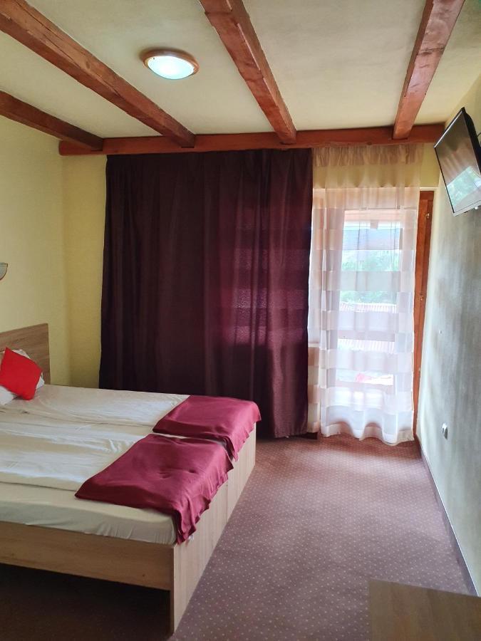 Pensiunea Leia Transfagarasan Cîrţişoara 외부 사진