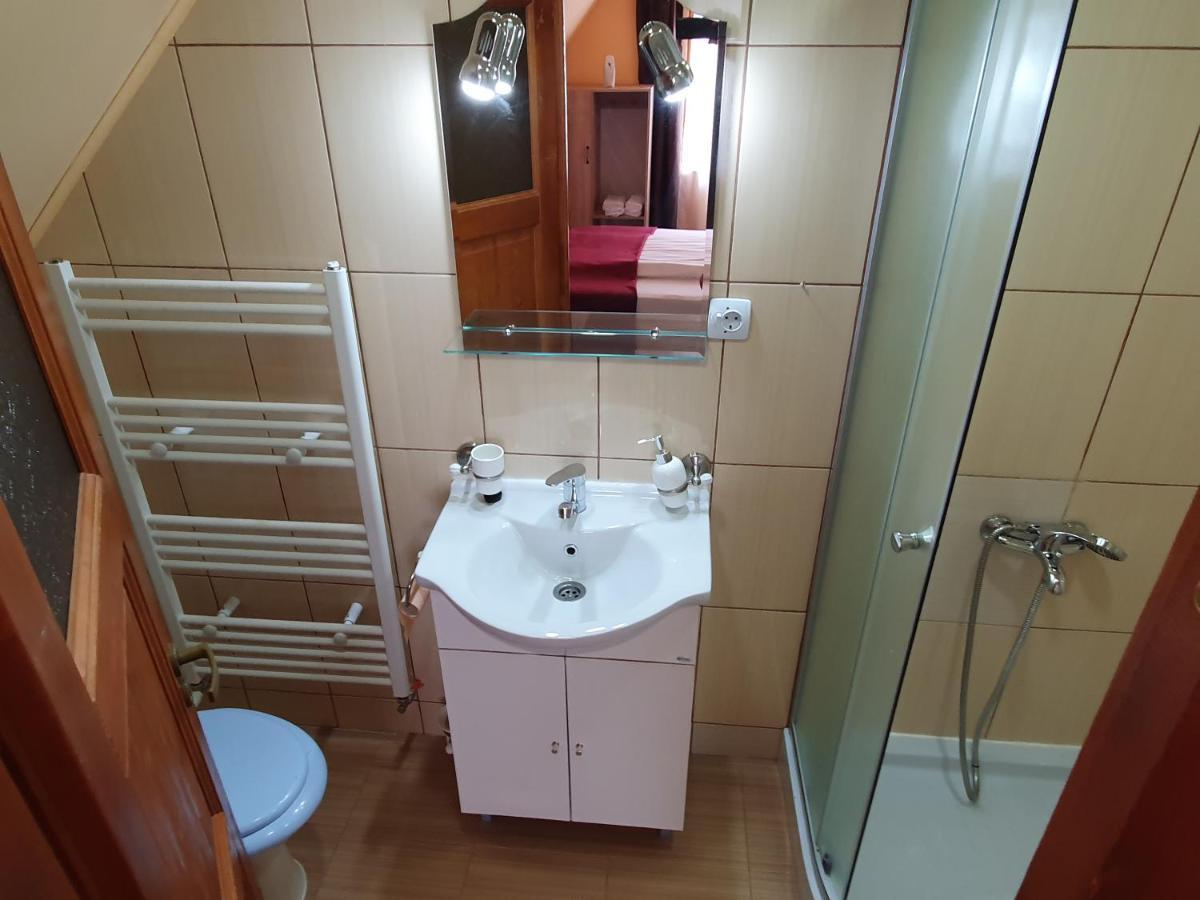 Pensiunea Leia Transfagarasan Cîrţişoara 외부 사진