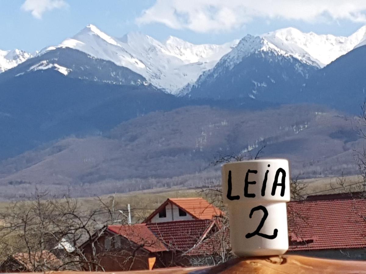 Pensiunea Leia Transfagarasan Cîrţişoara 외부 사진