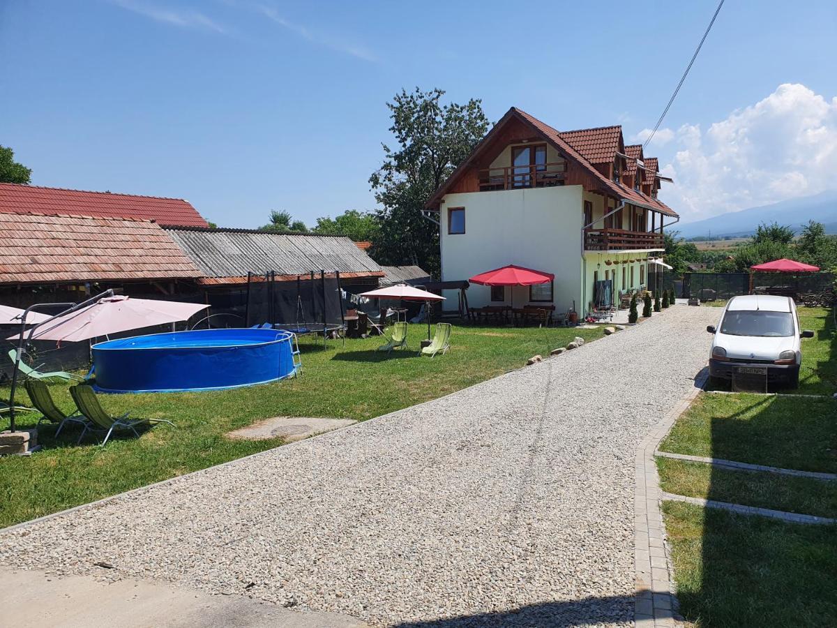 Pensiunea Leia Transfagarasan Cîrţişoara 외부 사진