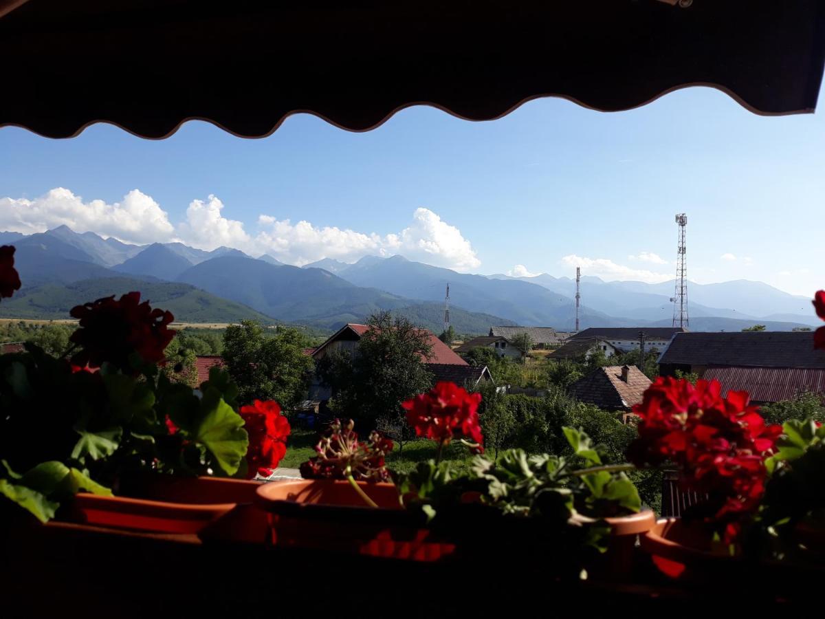 Pensiunea Leia Transfagarasan Cîrţişoara 외부 사진