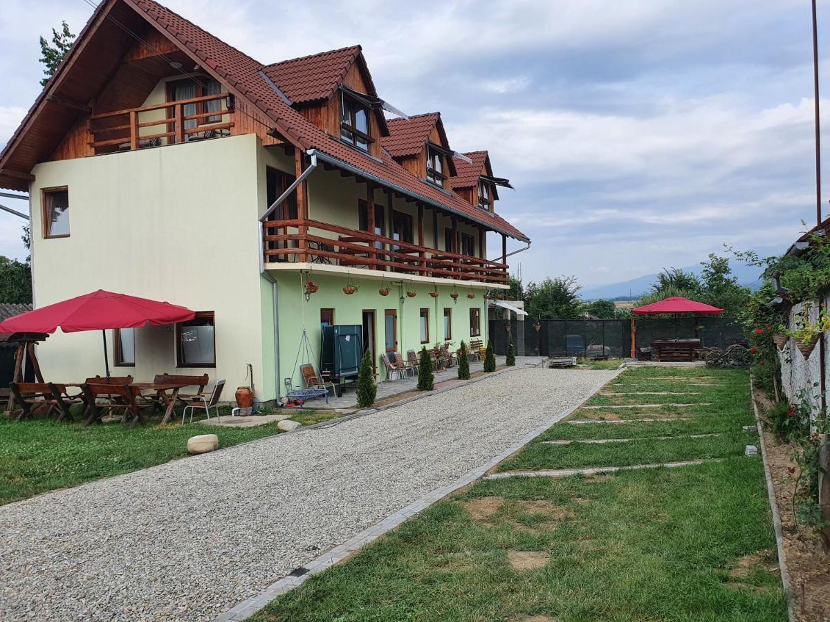 Pensiunea Leia Transfagarasan Cîrţişoara 외부 사진