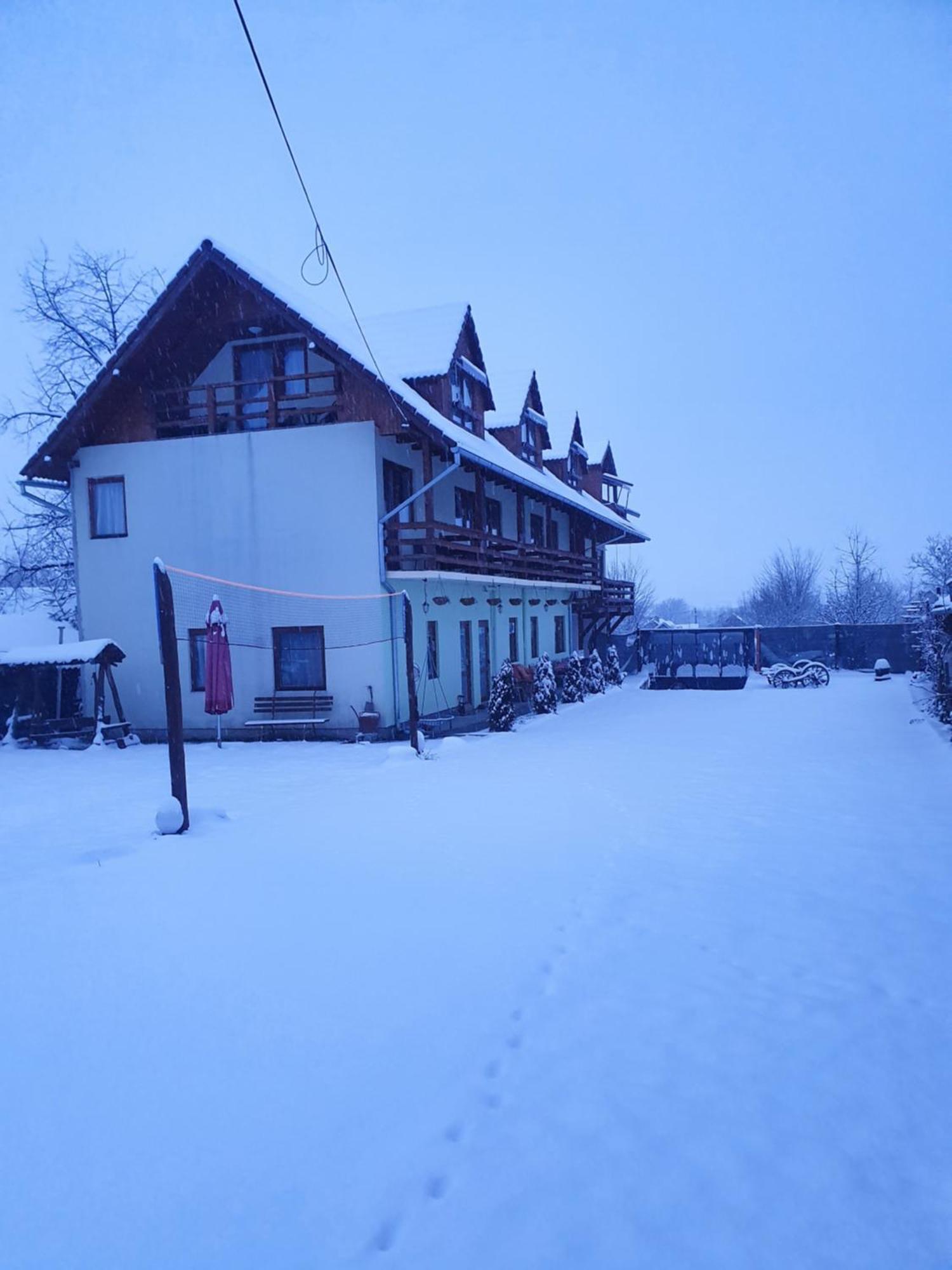 Pensiunea Leia Transfagarasan Cîrţişoara 객실 사진