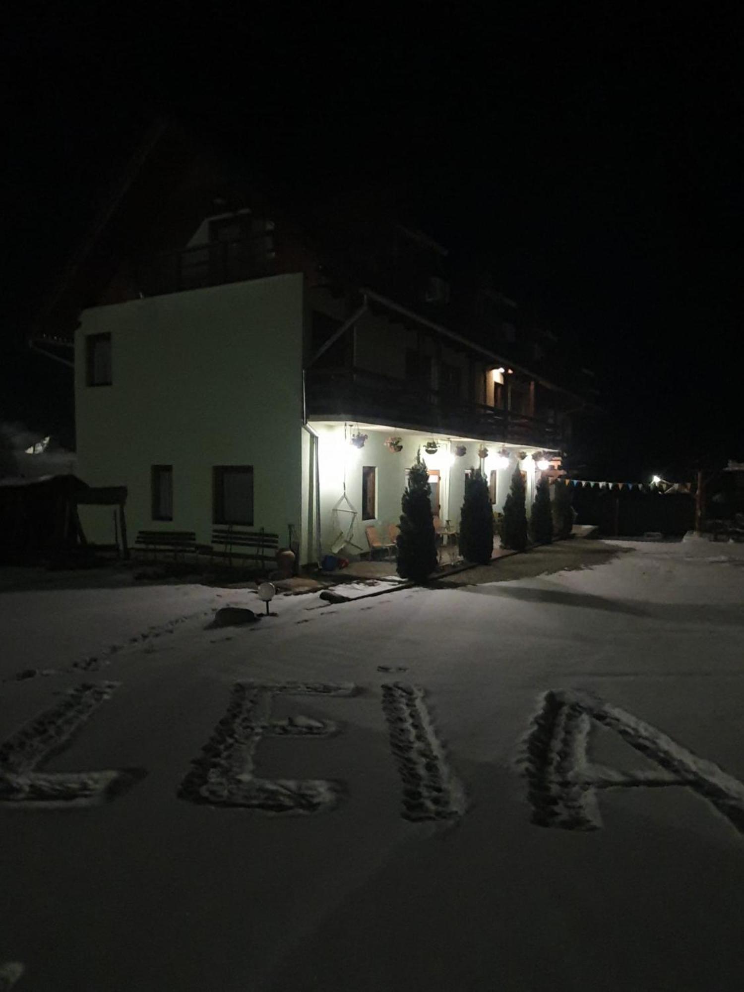 Pensiunea Leia Transfagarasan Cîrţişoara 외부 사진